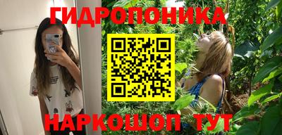 соль ск Заводоуковск