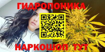 метадон Жуковский