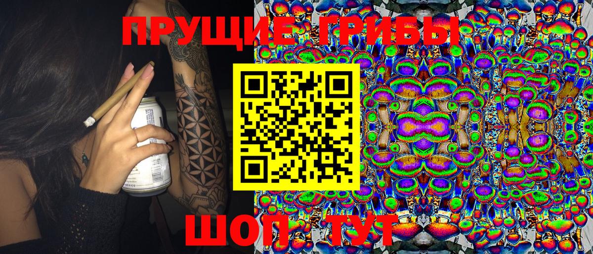 Ликино-Дулёво  Псилоцибиновые грибы ЛСД  Вход с VPN  Псилоцибиновые грибы GOLDEN TEACHER 